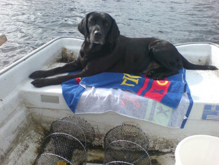 Iza på kräftfiske